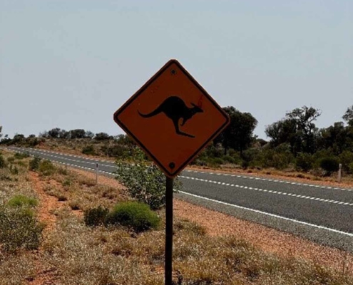 aCentauri Solar Racing Road2
